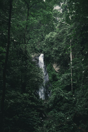 beautiful waterfall in the forest, long exposure photo with film grainの写真素材
