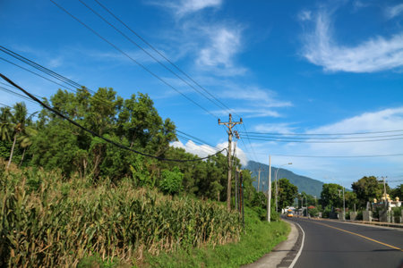 Highway and blue sky in the countrysideの写真素材