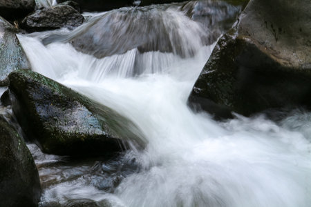 Water flowing over rocks in the deep forest, long exposure image.の写真素材