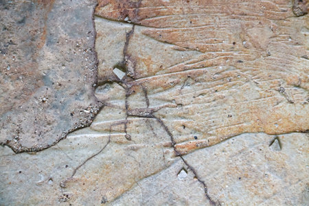 Stone texture background for interior exterior decoration and industrial construction concept design.の写真素材
