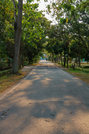 The road in the park with trees and blue skyの写真素材