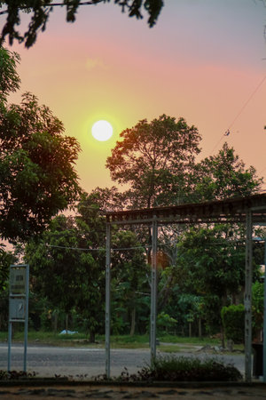 Sunset in the evening. The sun is setting behind the trees.の写真素材