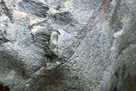 Stone texture background. Natural stone background. Close up of natural stone.の写真素材