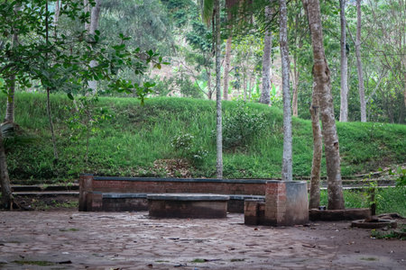 Benches in the park made of stone and cement surrounded by treesの写真素材