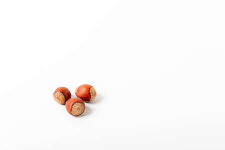 Hazelnuts on white background. Shelled nuts isolated on white background.の写真素材