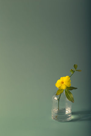 Yellow wildflower. Winter jasmine flower. Jasmine nudiflorum. Floral background.の写真素材