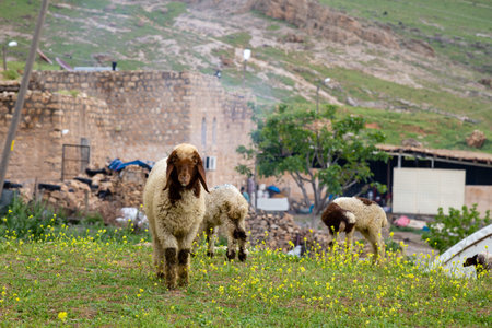 View from the village of Bilali near Mardin. Very few people live in this Syriac village today.