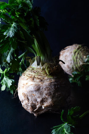 Fresh celery root with green leaves on dark background.の写真素材