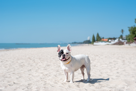 French happy face on the beach.の写真素材