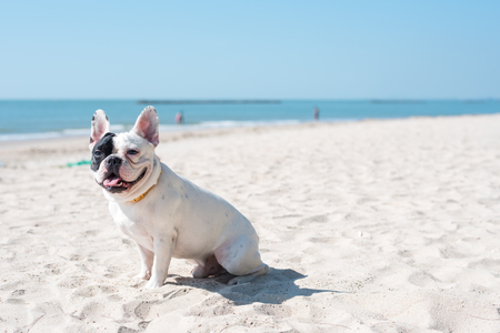 French happy face on the beach.の写真素材