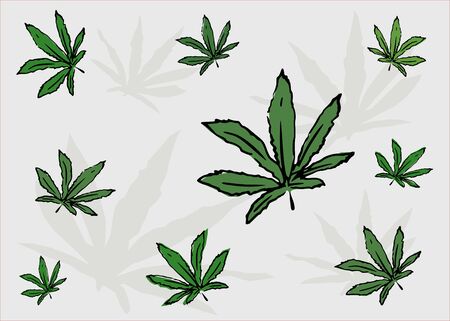 Cannabis CBD oil herb and leaves. Concept medical marijuana.illustration vector.のイラスト素材