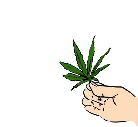 Cannabis CBD oil herb and leaves.のイラスト素材