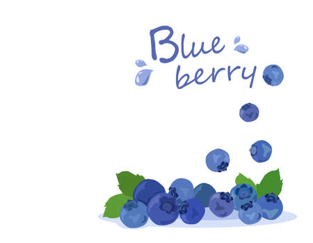 Blueberries vector isolated on white background. Summer fruits for a healthy lifestyle.Vector illustration for any design.のイラスト素材