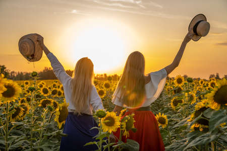 Young happy girls standing back to camera in a sunflower field at sunset.