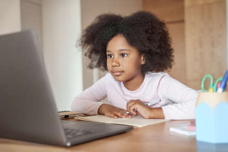 Little african american girl looking at laptop screen studying from homeの写真素材