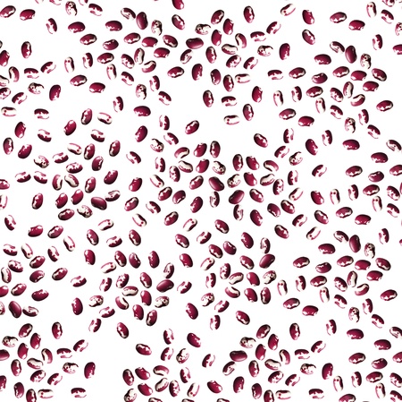 dried beans on white backgroundの写真素材
