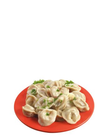 Russian national ravioli with dill on a plateの写真素材
