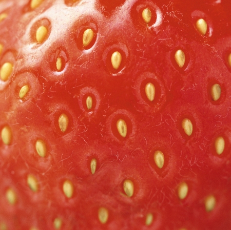 extreme macro red strawberry or textureの写真素材