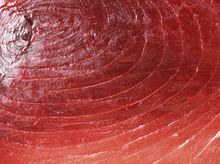 Fresh red salmon texture  Closeup isolated onの写真素材