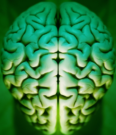 Human brain abstract, alpha, anatomy, art, brain,の写真素材