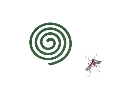 full frame mosquito coils and dead mosquitoの写真素材