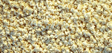Pop corn maize useful as a backgroundの写真素材