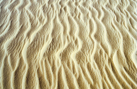 beach sand background background, beach, border, coast,
