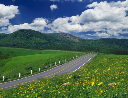 Country roadの写真素材