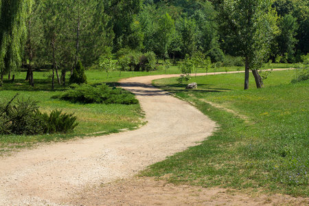 Summer park road