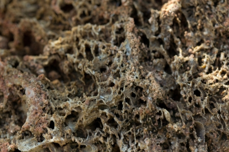 clos-up of Soil texture background.の写真素材