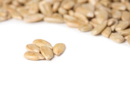 fresh sunflower seeds isolated on a white backgroundの写真素材