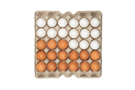 twenty four of white eggs in box