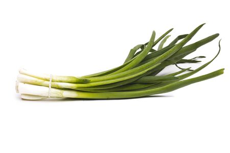 Green Onion - Natural food for healthの写真素材