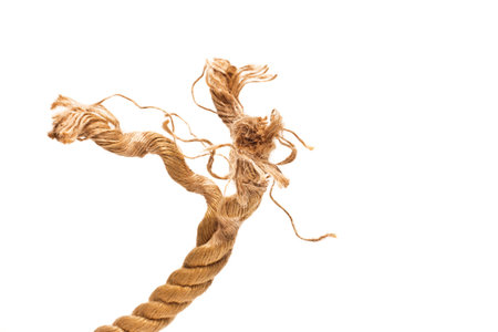 rope on a white background