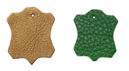 two skin slices backgroundの写真素材