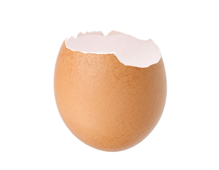 Eggshell isolated on white backgroundの写真素材