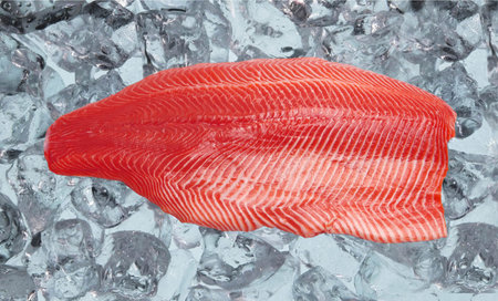 salmon on ice isolated