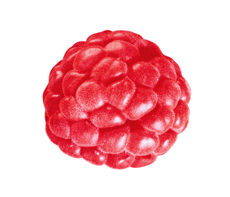 Raspberrie isolated on white backgroundの写真素材