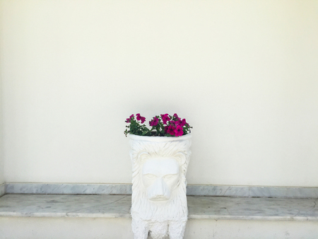 violet flowers in an old vaseの写真素材