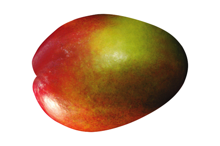 Mango isolated on whiteの写真素材