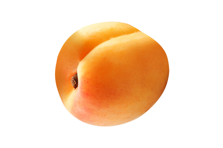 apricot isolated on white backgroundの写真素材