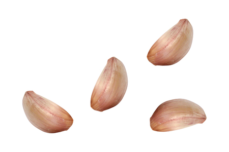 Garlic isolated on whiteの写真素材