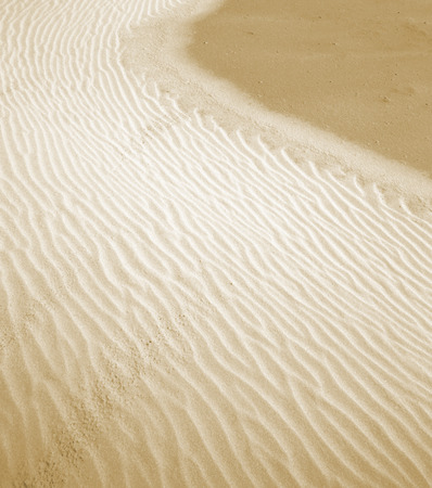 Sand in the desertの写真素材