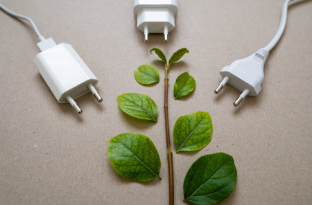 Close up photo of multiple unplugged charging sockets and green leaves. Concept of energy saving and...