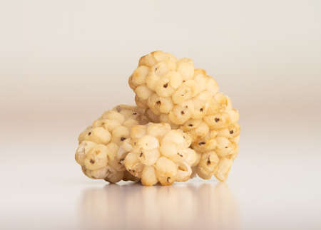 Close up photo of dried raw mulberry on isolated background.の写真素材