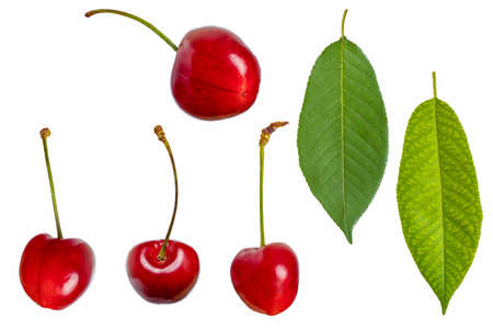 Close up photo of sour cherry on isolated white background.の写真素材