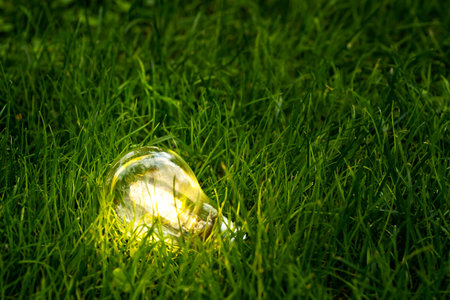Close up photo of shining lightbulb with nature background as a symbol of reduce energy consumption. Concept of save or protect planet or world.の写真素材