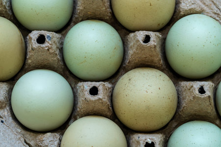 eggs in a carton box, close-up, background