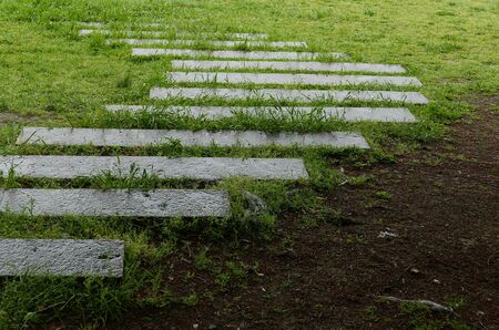 Pathway in the gardenの写真素材
