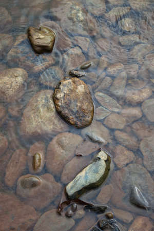 Stone in the Riverの写真素材